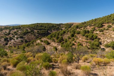 İspanya 'nın güneyindeki dağlık arazide çalılar ve kuru otlar var. Gökyüzü açık.