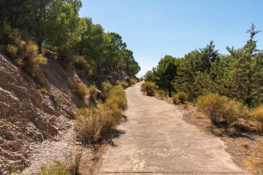 Güney İspanya 'daki dağdaki orman yolu betondan yapılmıştır. Ağaçlar, çalılar ve çimenler vardır. Gökyüzünde bulutlar vardır.