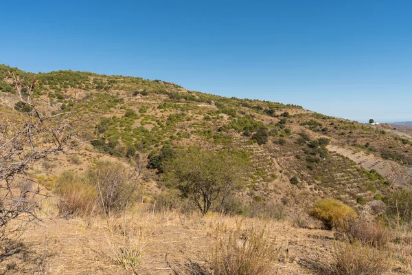 İspanya 'nın güneyindeki dağlık arazide çalılar, ağaç ve kuru otlar var. Gökyüzü açık.