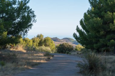 Güney İspanya 'daki dağdaki orman yolu betondan yapılmıştır. Ağaçlar, çalılar ve çimenler vardır. Gökyüzünde bulutlar vardır.