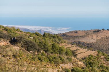 Güney İspanya 'nın dağlık arazisinde ağaçlar var, arka planda Akdeniz var, kıyılarda seralar var, gökyüzü açık.
