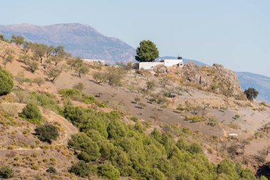 Dağlarda birkaç çiftlik evi, ağaçlar ve badem ağaçları var, bir traktör var, gökyüzü açık.