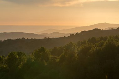 Dağda ağaçlar, çalılar var, deniz var, gökyüzü açık.