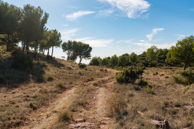 Güney İspanya 'da dağlık bir arazi, dağlarda ağaçlar ve çalılar var, bir orman yolu var, gökyüzünde bulutlar var.