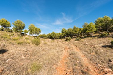 Güney İspanya 'da dağlık bir arazi, dağlarda ağaçlar ve çalılar var, bir orman yolu var, gökyüzünde bulutlar var.