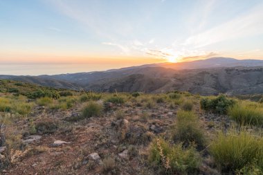 İspanya 'nın güneyindeki dağlık arazide, dağlarda ağaçlar, arka planda Akdeniz ve gökyüzünde bulutlar var.