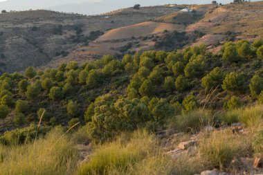 İspanya 'nın güneyindeki dağlık arazide, dağlarda ağaçlar ve çalılar var, dağda bazı çiftlik evleri var.