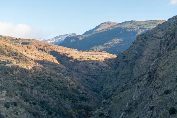 Ορεινό Τοπίο Στη Σιέρα Νεβάδα Στη Νότια Ισπανία Υπάρχουν Δέντρα — Φωτογραφία Αρχείου