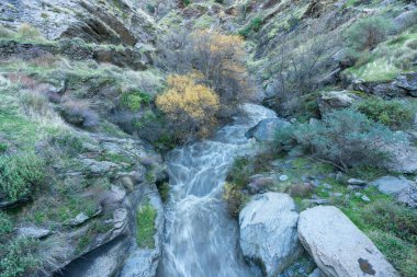 Güney İspanya 'da Sierra Nevada' da bir nehir, nehir su taşır, ağaçlar, çalılar ve yeşil çimenler vardır, kayalar ve taşlar vardır.