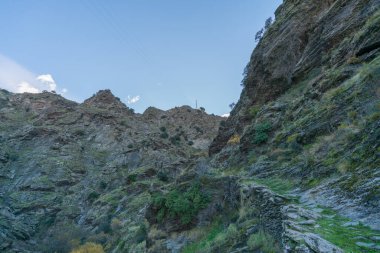 Sierra Nevada 'nın engebeli bölgeleri, ağaçlar ve çalılar, kayalar ve taşlar var, gökyüzü açık.