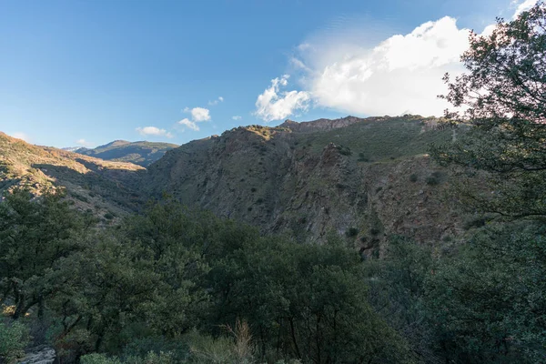 Spanya Nın Güneyinde Sierra Nevada Nın Dağlık Arazisinde Ağaçlar Çalılar — Stok fotoğraf
