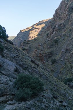 Sierra Nevada 'nın engebeli bölgeleri, ağaçlar ve çalılar, kayalar ve taşlar var, gökyüzü açık.