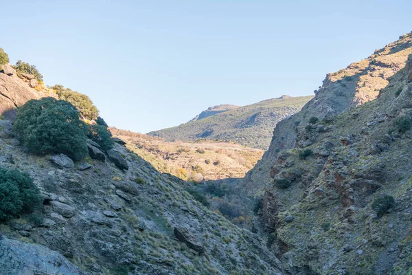 Área Acidentada Sierra Nevada Árvores Arbustos Rochas Pedras Céu Está — Fotografia de Stock