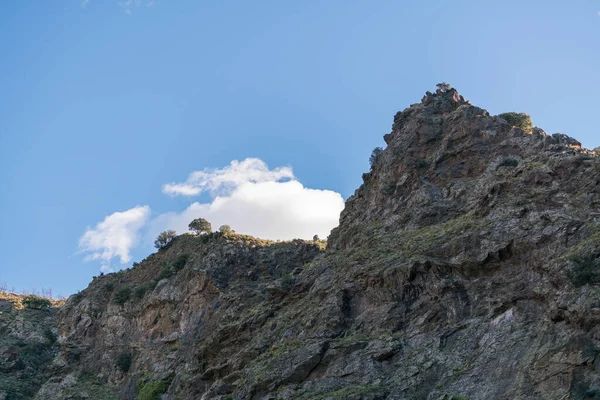 Zone Accidentée Sierra Nevada Des Arbres Des Buissons Des Rochers — Photo