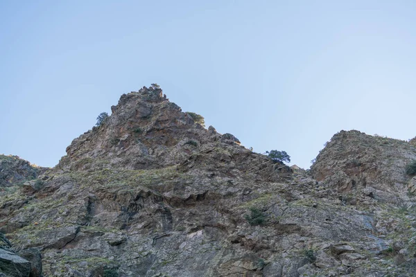 Zona Escarpada Sierra Nevada Hay Árboles Arbustos Hay Rocas Piedras —  Fotos de Stock