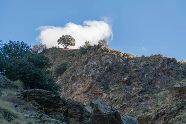 Área Acidentada Sierra Nevada Árvores Arbustos Rochas Pedras Céu Claro — Fotografia de Stock