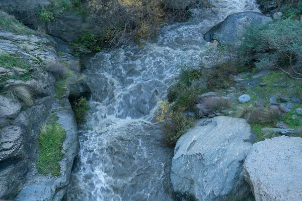 南スペインのシエラネバダ山脈の川 水を運ぶ川 緑の草 岩や石があります — ストック写真