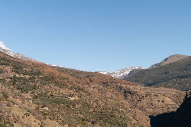 Sierra Nevada 'daki dağ manzarası, dağda kar var, sarp bir arazi, ağaçlar ve çalılar var, gökyüzü açık.