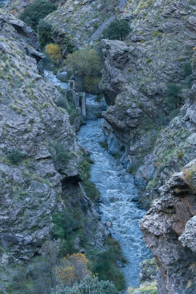 Ein Fluss Der Sierra Nevada Südspanien Gibt Bäume Und Sträucher — Stockfoto