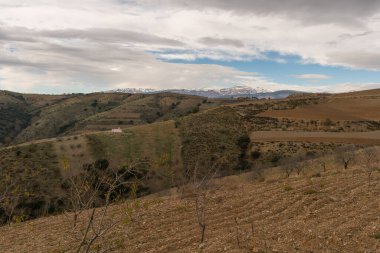 Güney İspanya 'nın dağlık arazisi, dağlarda ağaçlar, gökyüzünde bulutlar var.
