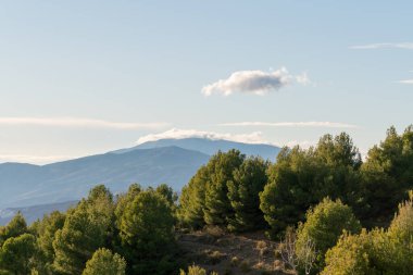 Güney İspanya 'nın dağlık arazisi, dağlarda ağaçlar, gökyüzünde bulutlar var.