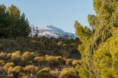 Güney İspanya 'da dağlar, dağlarda ağaçlar, dağların arkasında kar, gökyüzünde bulutlar var.