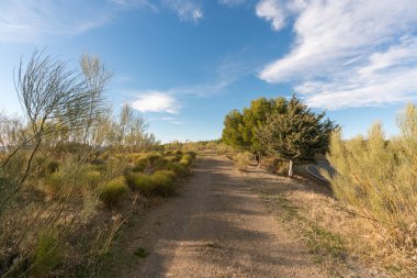 Dağdaki toprak yolda ağaçlar, çalılar ve çimenler var. Gökyüzünde bulutlar var.
