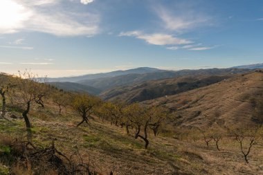 Güney İspanya 'nın dağlık arazisi, dağlarda ağaçlar, gökyüzünde bulutlar var.