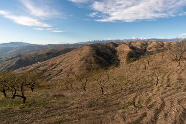Güney İspanya 'nın dağlık arazisi, dağlarda ağaçlar, gökyüzünde bulutlar var.