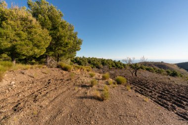 İspanya 'nın güneyindeki dağ manzarası. Dağların yamaçlarında ağaçlar var. Arka planda Akdeniz var.