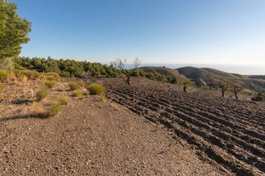 İspanya 'nın güneyindeki dağ manzarası. Dağların yamaçlarında ağaçlar var. Arka planda Akdeniz var.