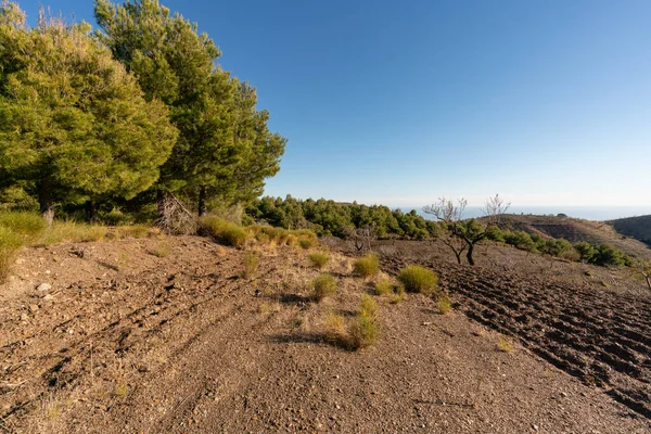 İspanya 'nın güneyindeki dağ manzarası. Dağların yamaçlarında ağaçlar var. Arka planda Akdeniz var.