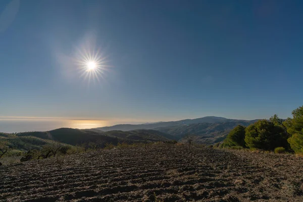 İspanya 'nın güneyindeki dağ manzarası. Dağların yamaçlarında ağaçlar var. Arka planda Akdeniz var.