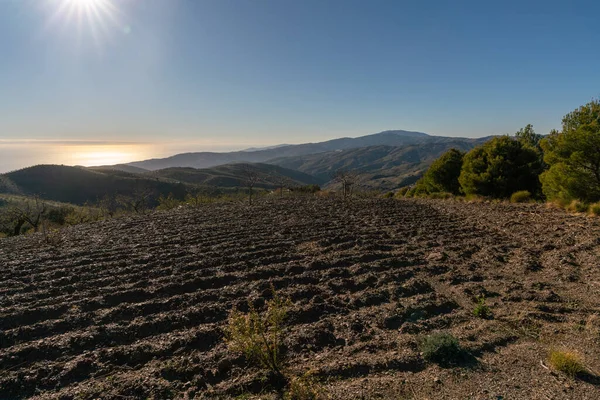 İspanya 'nın güneyindeki dağ manzarası. Dağların yamaçlarında ağaçlar var. Arka planda Akdeniz var.