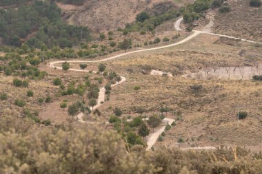 Ağaçların ve çalıların arasında yürüyorum, burası bir dağ bölgesi, bir sürü elektrik direği var.
