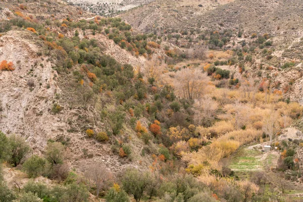 Vegetação Montanha Sul Espanha Árvores Arbustos Rio Passa Entre Montanhas — Fotografia de Stock