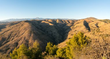 Güney İspanya 'da dağ manzarası, bir çam ormanı var, dağların yamaçlarında ağaçlar var, gökyüzü açık.