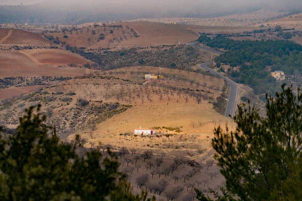 Mehrere Bauernhäuser Den Bergen Gibt Mandelbäume Gibt Einen Kiefernwald Gibt — Stockfoto