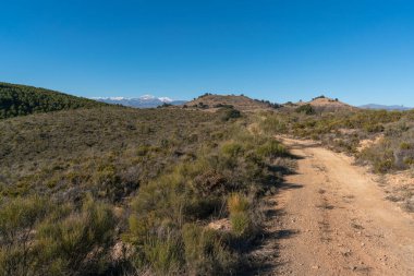 Dağdaki toprak yolda, ağaçlar ve çalılar var, taşlar var, gökyüzü temiz.