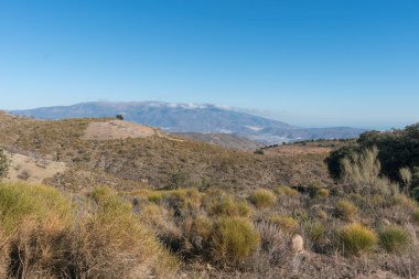 Güney İspanya 'nın dağlık arazisi. Ağaçların ve çalıların bitkileri var. Taşlar var.