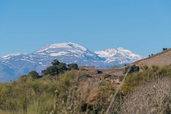 Sierra Nevada mountains in southern Spain, the mountains are snowy, there are trees and shrubs, the sky is clear