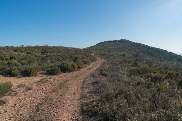 dirt road in the mountain, there is vegetation of trees and shrubs, there are stones, the sky is clear