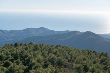 Güney İspanya 'nın dağlık arazisi, dağ çalılarla ve ağaçlarla kaplıdır, arka planda Akdeniz vardır.
