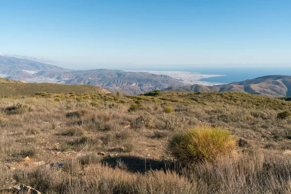 Güney Spanya Daki Dağlık Arazi Dağda Bitki Örtüsü Var Arka — Stok fotoğraf