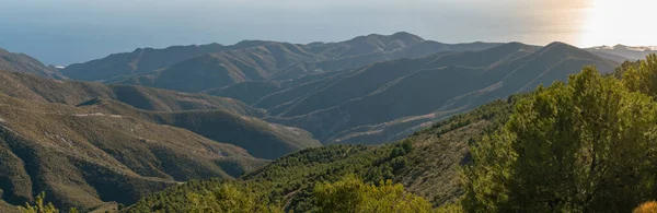 Горный Пейзаж Юге Испании Гора Покрыта Кустами Деревьями Заднем Плане — стоковое фото