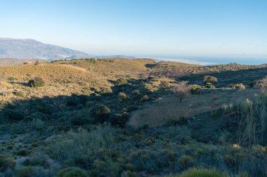 Güney İspanya 'nın dağlık arazisi. Ağaçlar ve çalılar var. Gökyüzü açık.