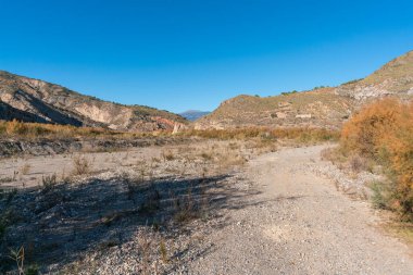 Güney İspanya 'nın dağlık arazisi. Ağaçlar ve çalılar var. Gökyüzü açık.