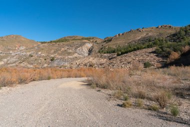 Güney İspanya 'nın dağlık arazisi. Ağaçlar ve çalılar var. Gökyüzü açık.