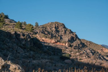 Güney İspanya 'nın dağlık arazisi. Ağaçlar ve çalılar var. Gökyüzü açık.