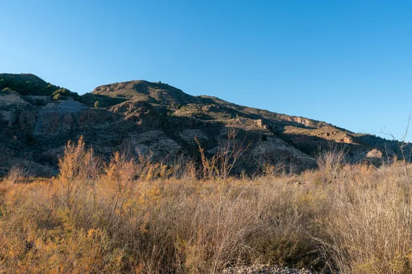 Bergige Landschaft Südspanien Gibt Bäume Und Büsche Gibt Felsen Und — Stockfoto